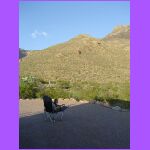 Belle Enjoying the View.jpg